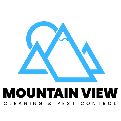 Mountain View Services